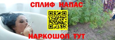 не бодяженный Нальчик