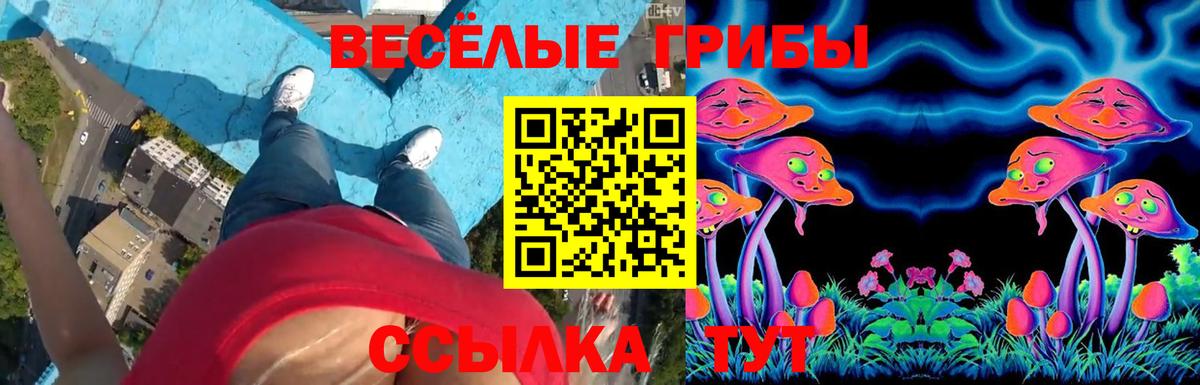 Псилоцибиновые грибы Magic Shrooms  Вход с VPN  Торжок 