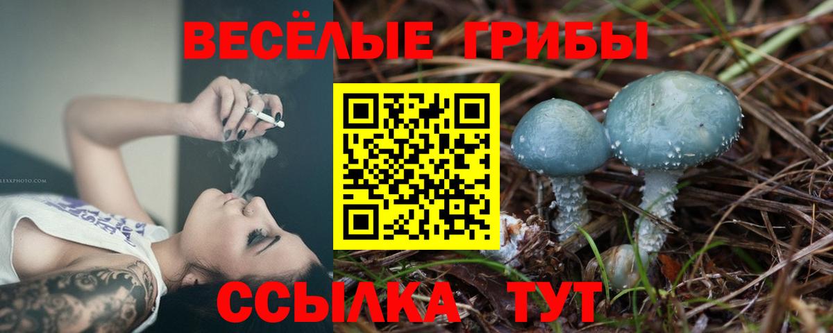 Галлюциногенные грибы GOLDEN TEACHER Торжок